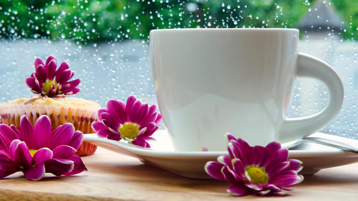 taza con flores frente a ventana lluviosa